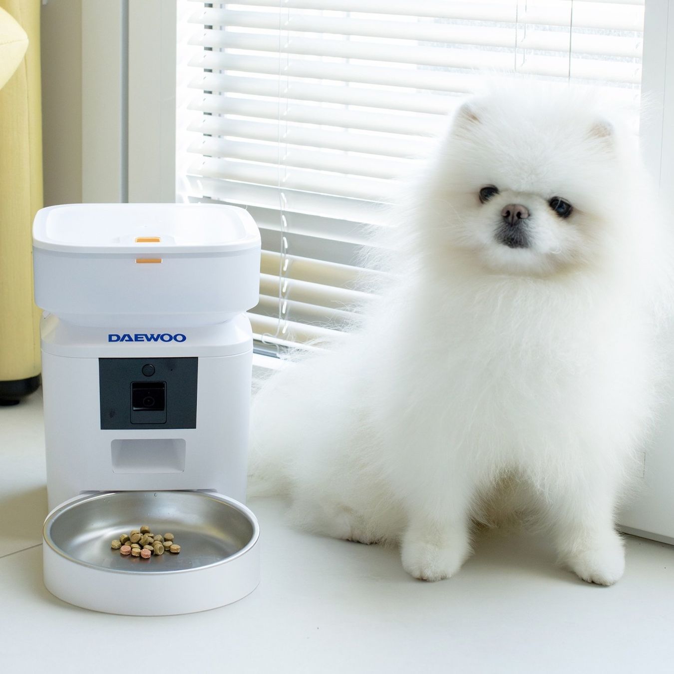 Futter: Daewoo Smart Pet Feeder + Camera 2L – Neu und originalverpackt aus Hitzkirch von Thali_AG 8
