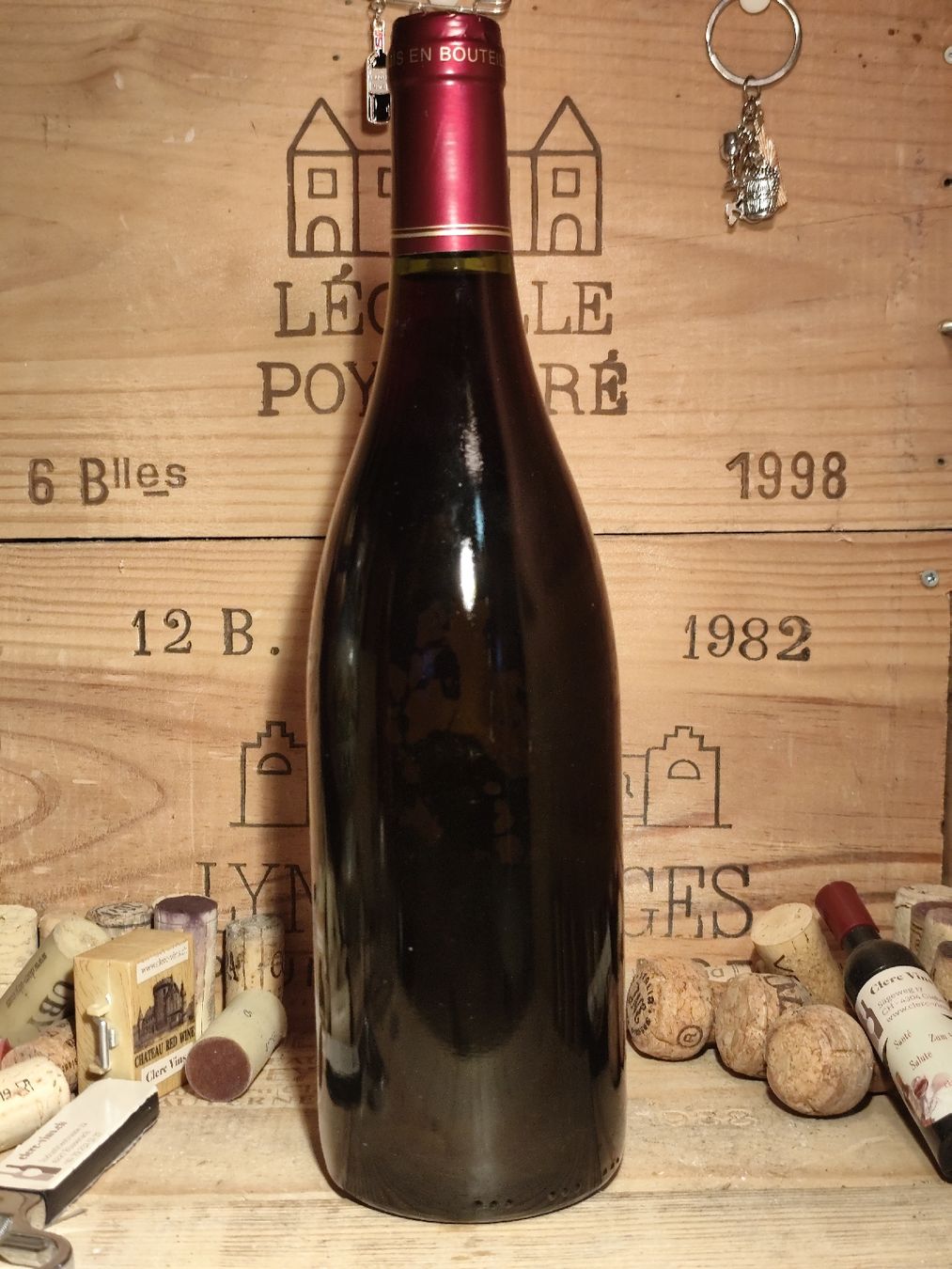 Wein: 1993 Chenas, Raymond Trichard – Neu (gemäss Beschreibung) aus Büsserach von Vintage-vins 2
