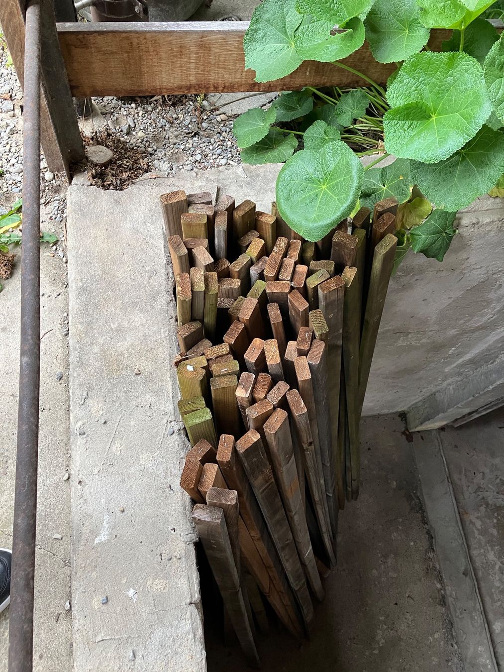 Articoli in legno: Holzlatten – Usato da Weinfelden venduto da kas_xk5y 1