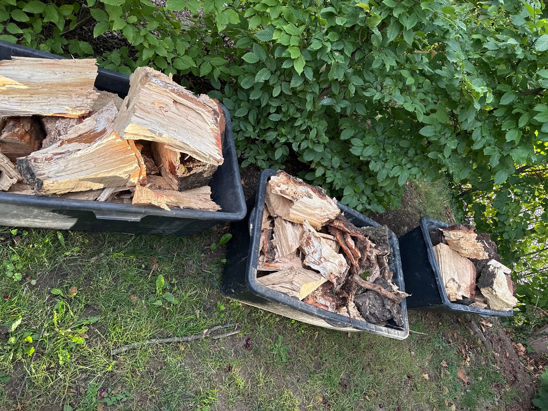 Articles en bois: Birke Holz Abfälle – D'occasion à Salmsach par eva_7rw2