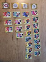 Panini world cup 2026