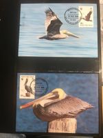 Jungferninseln 1988 Satz WWF Pelikan Maximumkarten