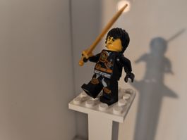Lego Ninjago Cole