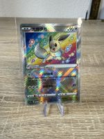 Evoli radieux (CS5aC 092)