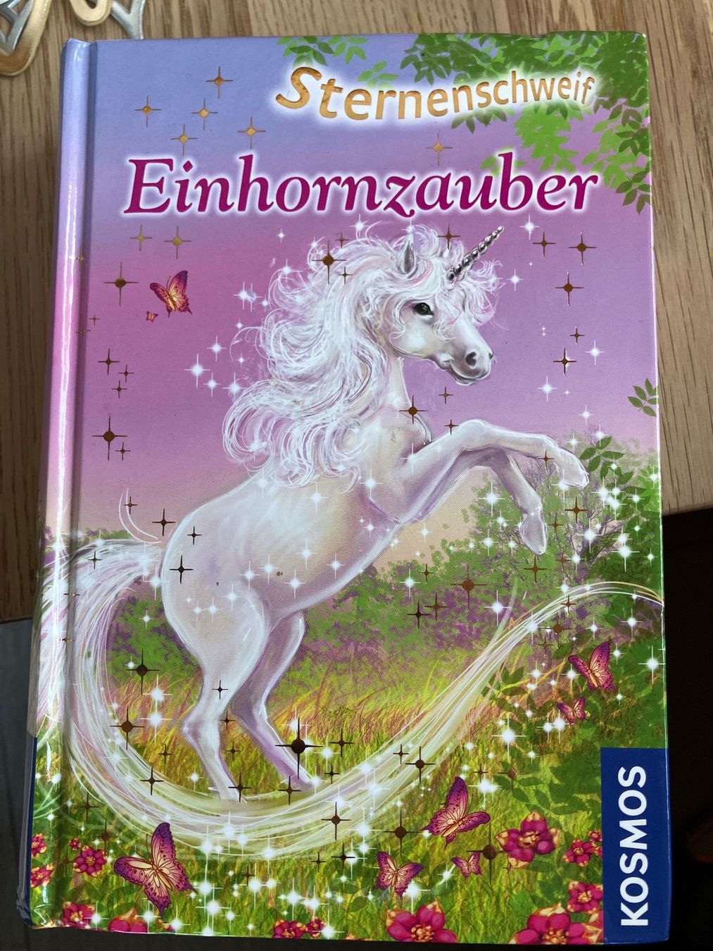 Libri: Sternenschweif Einhornzauber – Nuovo (secondo la descrizione) da Ried-Brig venduto da Agesolo