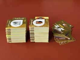 642 Panini OHNE DOPPELTE - inkl. 11 Coca Cola Sticker WM2026
