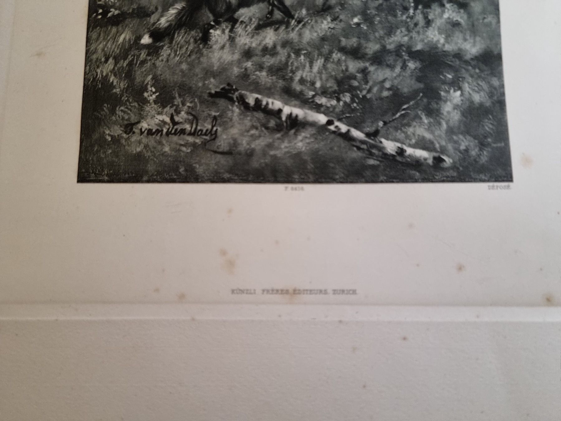 Foto & Immagini: Fuchs auf der Jagd  Schöne Grafik – Usato da Trachslau venduto da bastet06 2