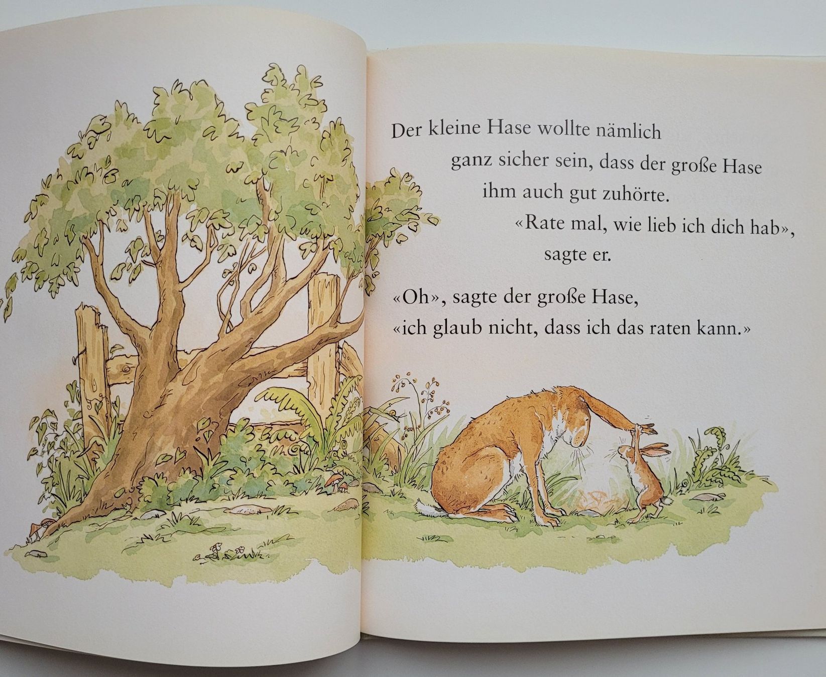 Libri: Weisst du eigentlich, wie lieb ich dich hab? – Usato da Würenlos venduto da Felisha 2