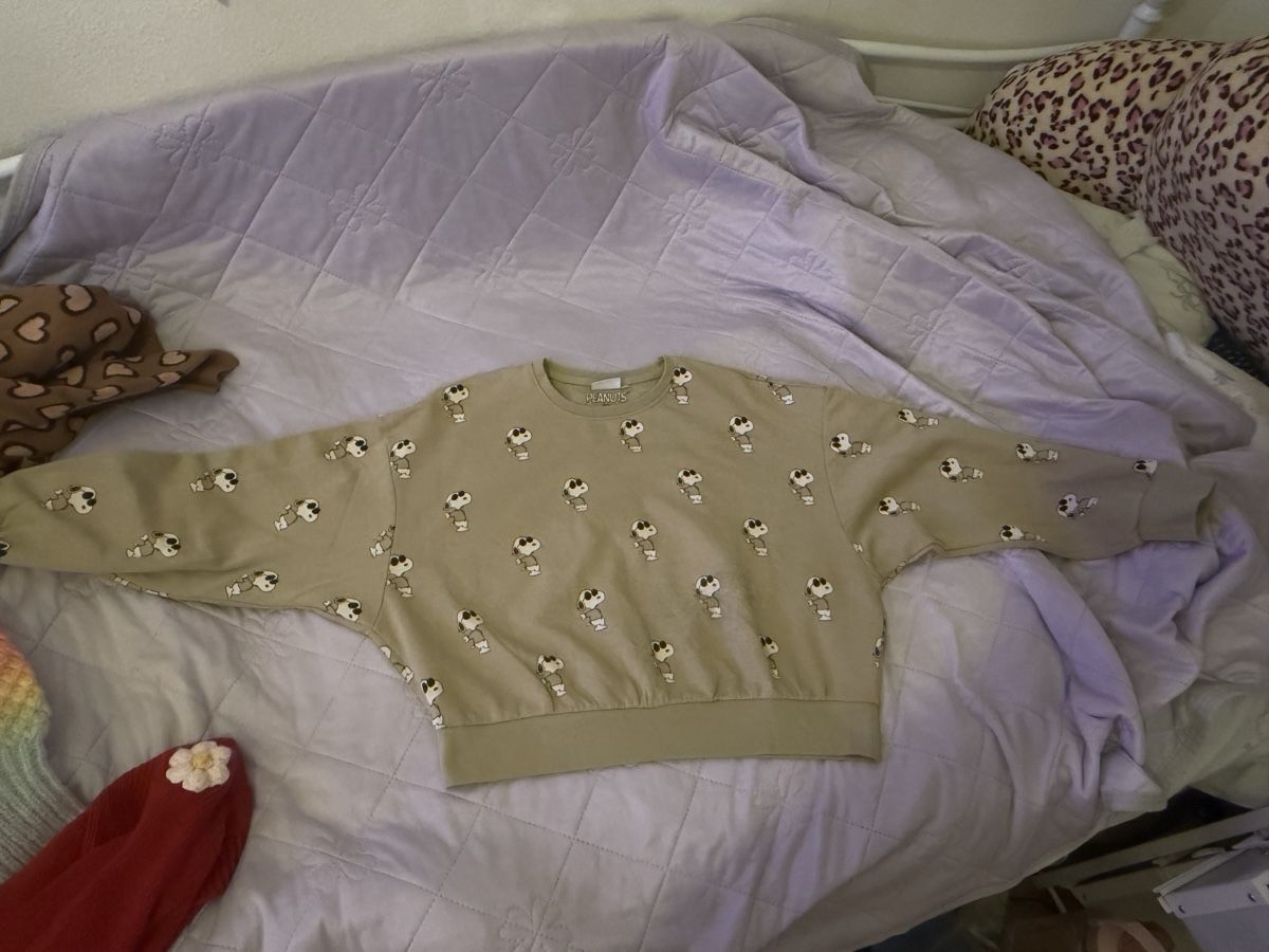 Pulls & Sweat-shirts: Peanuts Pullover beige mit Snoopy-Motiv neuwertig – Neuf (Voir description) à Horgen par emi_9dyh