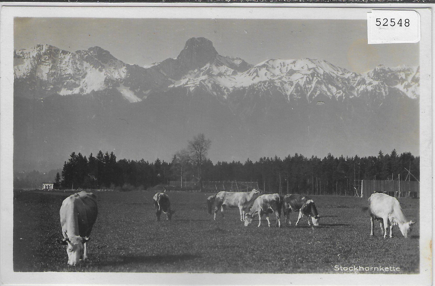 Cartoline postali: Kuhherde mit Stockhornkette – Usato da Ettingen venduto da Kartenplanet
