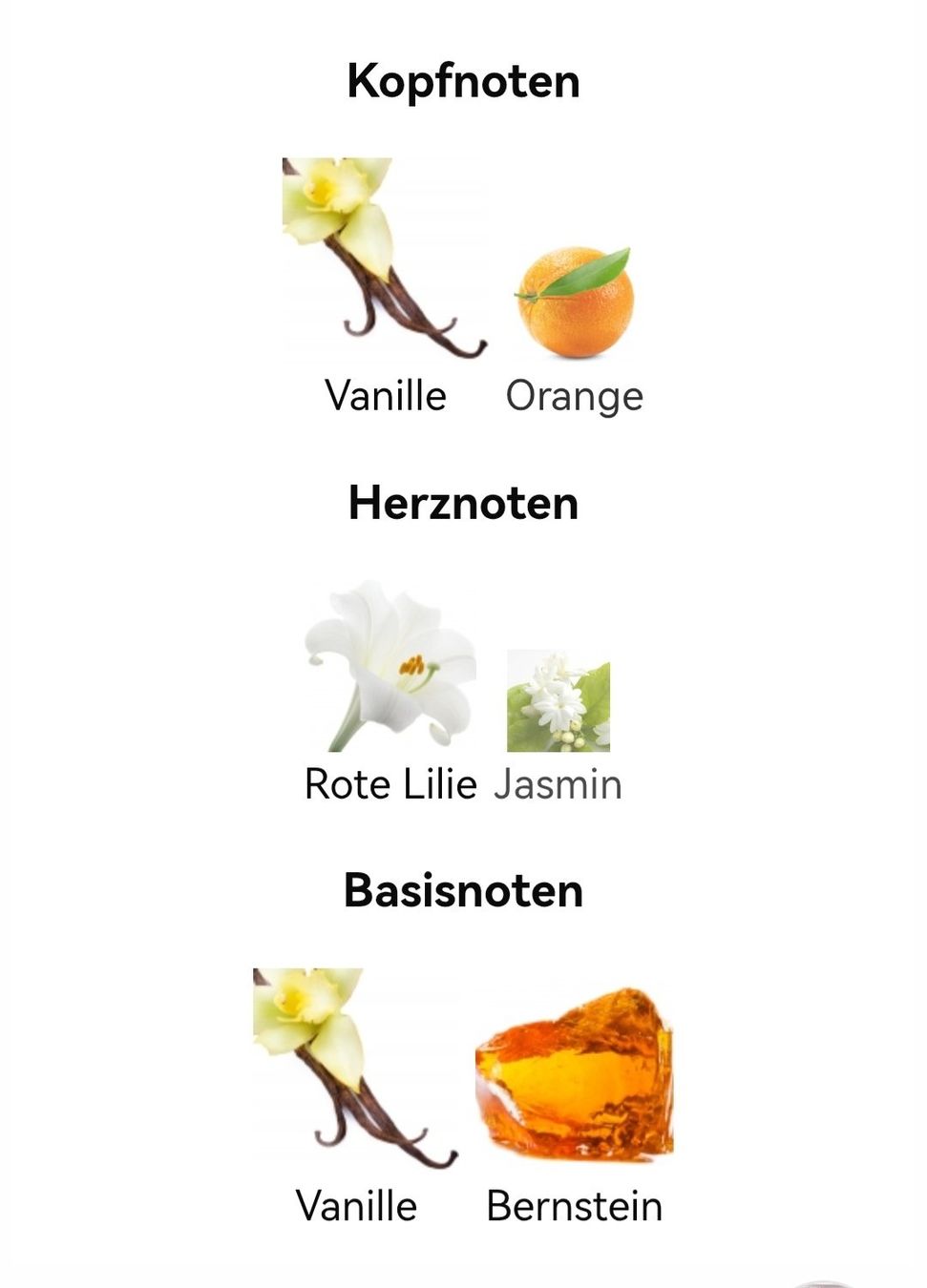 Parfum & Eau de Toilette: Amber Elexir Mystery Oriflame 50ml – Neu (gemäss Beschreibung) aus Bösingen von Freejack69 2