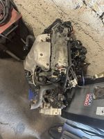 Fiat Panda Motor 1,2 