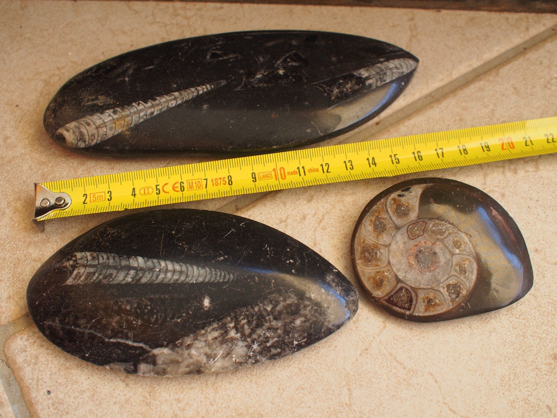 Fossili: 10. lot de 3 grands fossiles polis – Usato da Ovronnaz venduto da Etagne68 4