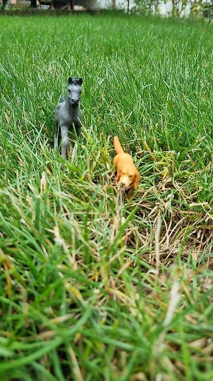 Figuren: Poulain Schleich  – Gebraucht aus St-Sulpice VD von rog_c28g 1