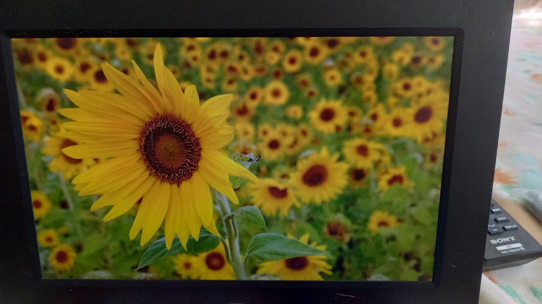Elektronikbauteile: standard  10.2 lcd digital photo frame senza telecomando – Gebraucht aus Wohlen AG von poliziotto008