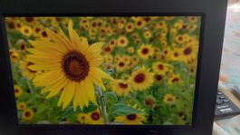 standard  10.2 lcd digital photo frame senza telecomando