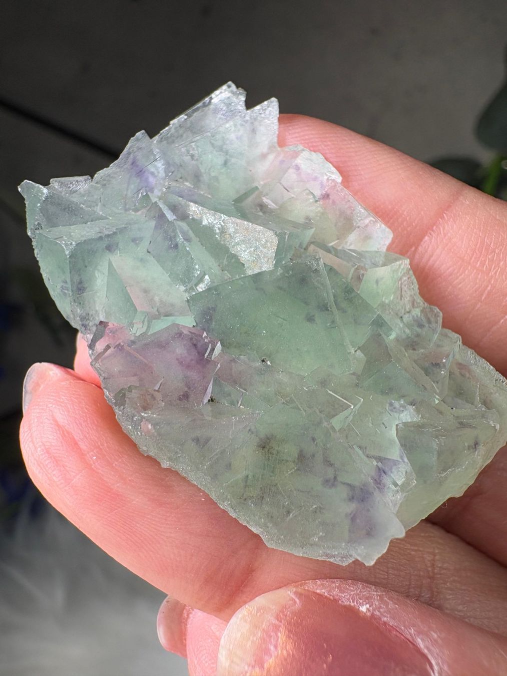 Pietre preziose: Grüner Fluorit – Nuovo (secondo la descrizione) da Neuheim venduto da m.hald 2