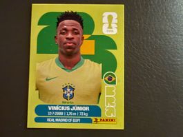Panini Sticker