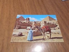 Ansichtskarte Giza The Great Sphinx and