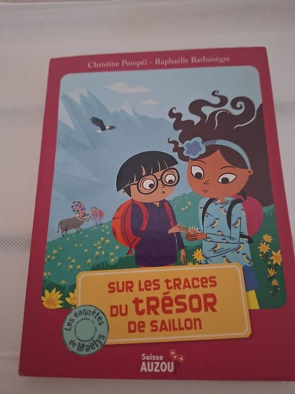 Bücher: Sur les traces du trésor de Saillon – Gebraucht aus Conthey von meugnieranne