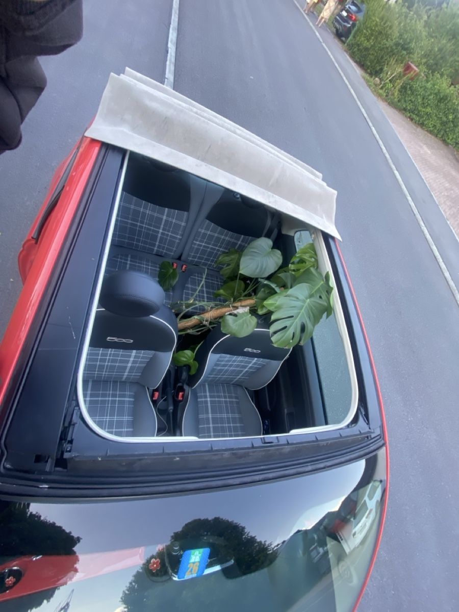 Fiat Autos: Fiat 500C Cabrio Rot/Beige – D'occasion à Luzern par ach_vb6r 4