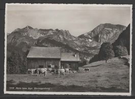 MOTIV beim ÄLPLI, OBERTOGGENBURG   1938  (D
