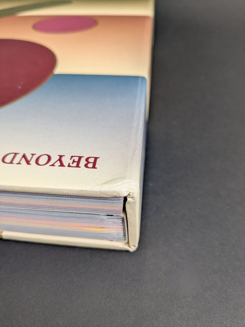 Libri: Beyond Peaks Kochbuch Andreas Caminada, M. Skiba – Usato da Dintikon venduto da Restwert_Dintikon 8