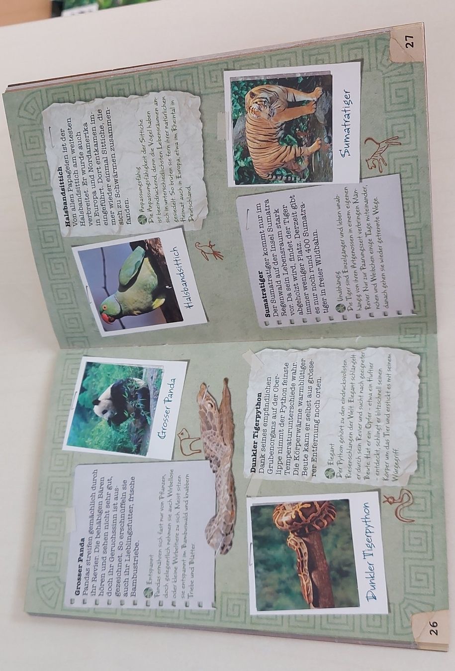 Migros Album: Animanca Entdecker-Buch, 2x, komplett – Usato da Ittigen venduto da giallosole 2