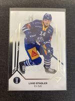 Sportzoo Livio Stadler EV Zug Playoffs 2025