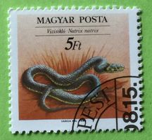 Briefmarken aus Ungarn gestempelt Siehe Original Fotos. 