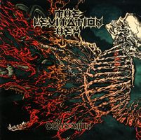 The Levitation Hex – Cohesion - Vergriffen!