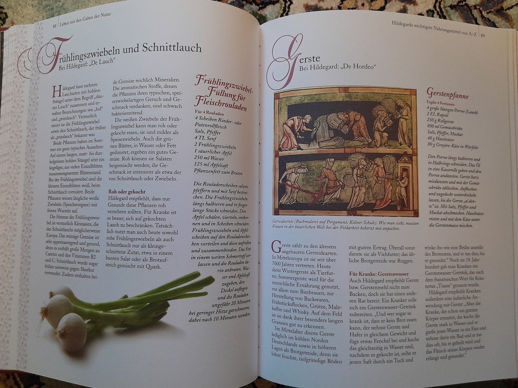 Libri: Gesund bleiben: Hildegard von Bingen – Nuovo (secondo la descrizione) da Eglisau venduto da Susanne2209 4
