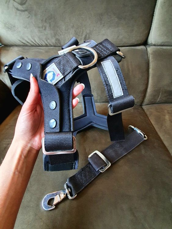 Leine & Halsband: Hunde Sicherheits-Geschirr, Autogurt, Cabriolet – Gebraucht aus Turgi von nachtheuel