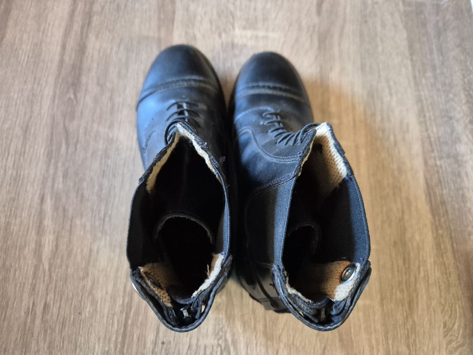 Briglie & Cavezze: Horse Reitstiefeletten / Bottinen 37 – Nuovo (secondo la descrizione) da Meggen venduto da Orrinka20 2