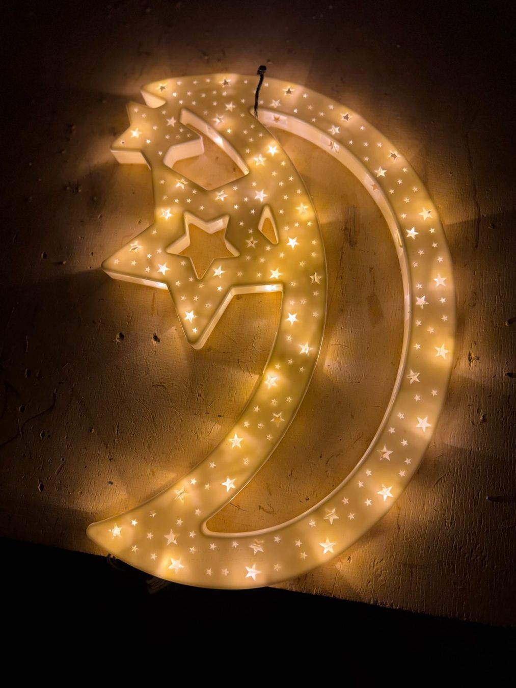 Tutte le decorazioni: Weihnachtsbeleuchtung Mond – Usato da Flums venduto da Hrroland 1