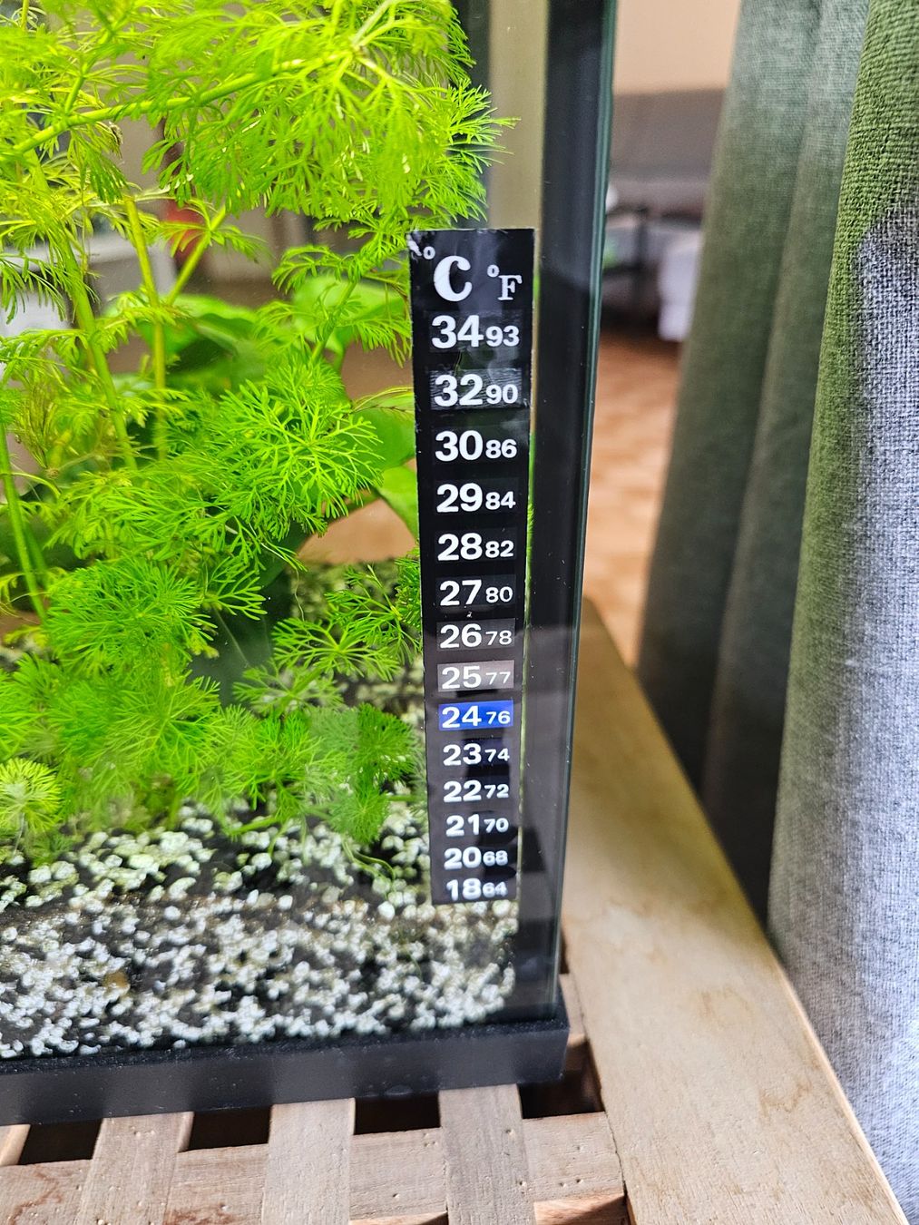 Amazonas Acquari: Aquarium ca. 30Liter mit Zubehör – Usato da Adliswil venduto da Superbuy 1