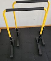 Dips Barren Trainingsstation