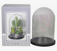 7 neue Glasglocken mit Unterteller inkl. Verpackung