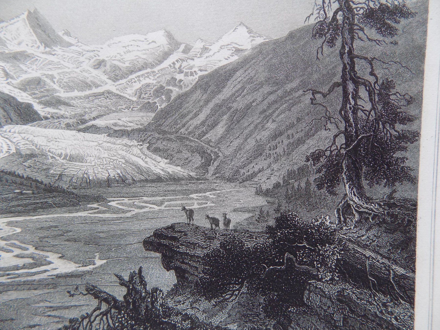 Gravures: Roseg Gletscher Engadin – D'occasion à Risch par Antikfee 3