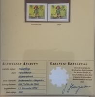 K58) J381A, verschobener schwarzdruck Befunde Müller Kt 100