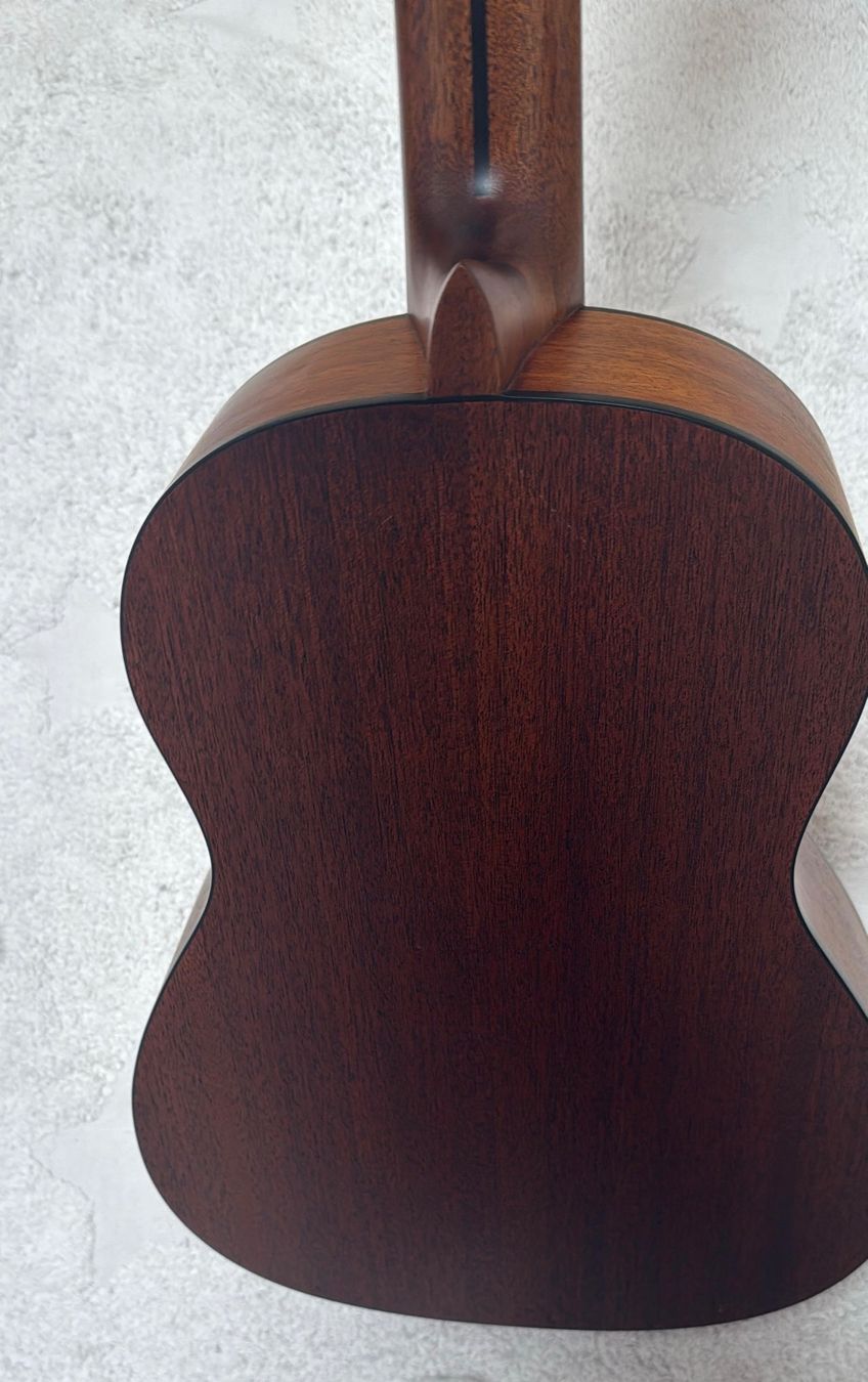 Charvel Musikinstrumente: Charleva CHARV-D3CM – Neu (gemäss Beschreibung) aus Basel von Arbarella 3
