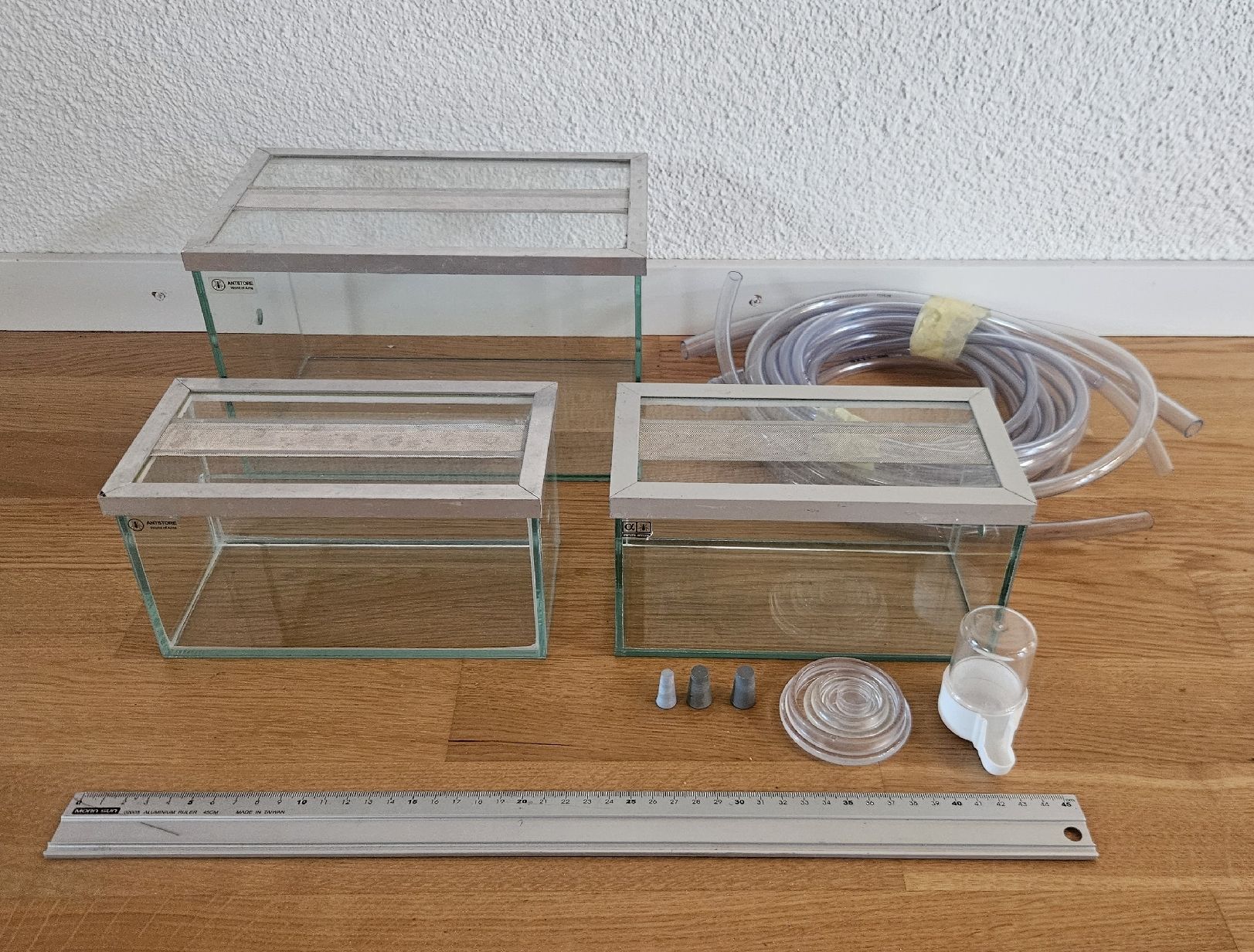 Terrario: Ameisenfarm-Set / Formicarium – Usato da Luzern venduto da ruhmred