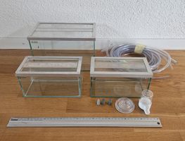 Ameisenfarm-Set / Formicarium