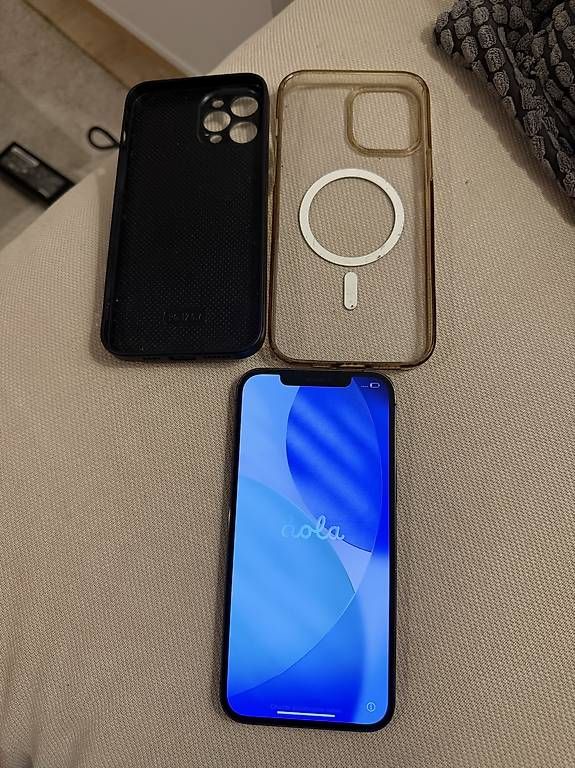 Apple Telefoni cellulari / Smartphones: Iphone 12 Pro Max 128GB – Usato da Lostorf venduto da Puchmaxi1 1