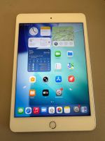 iPad mini 5