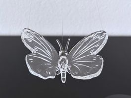 Schmetterling Sonnenfänger Glasi Hergiswil, RAR