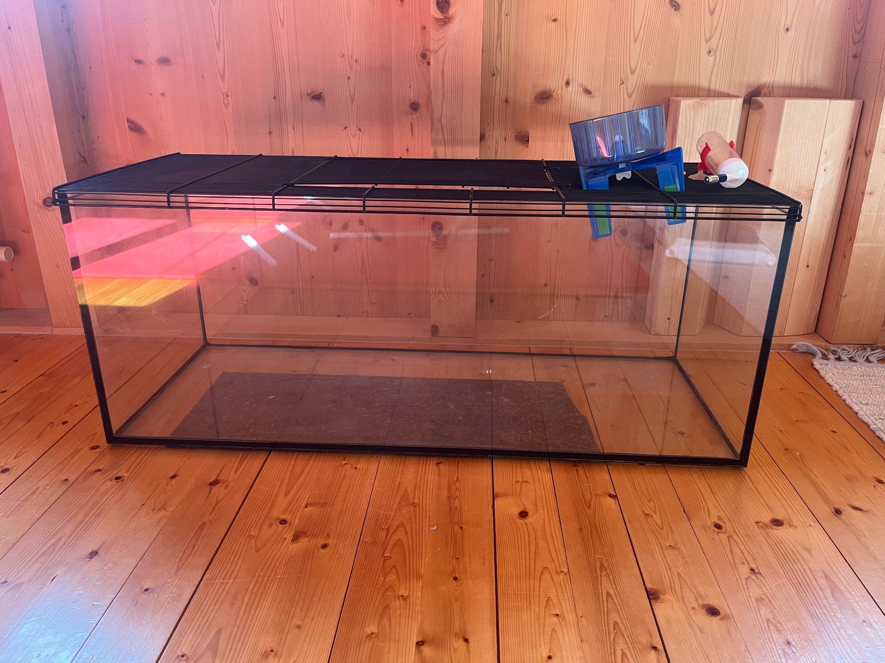 Terrario: Terrarium – Usato da Haldenstein venduto da Lusa1942 2