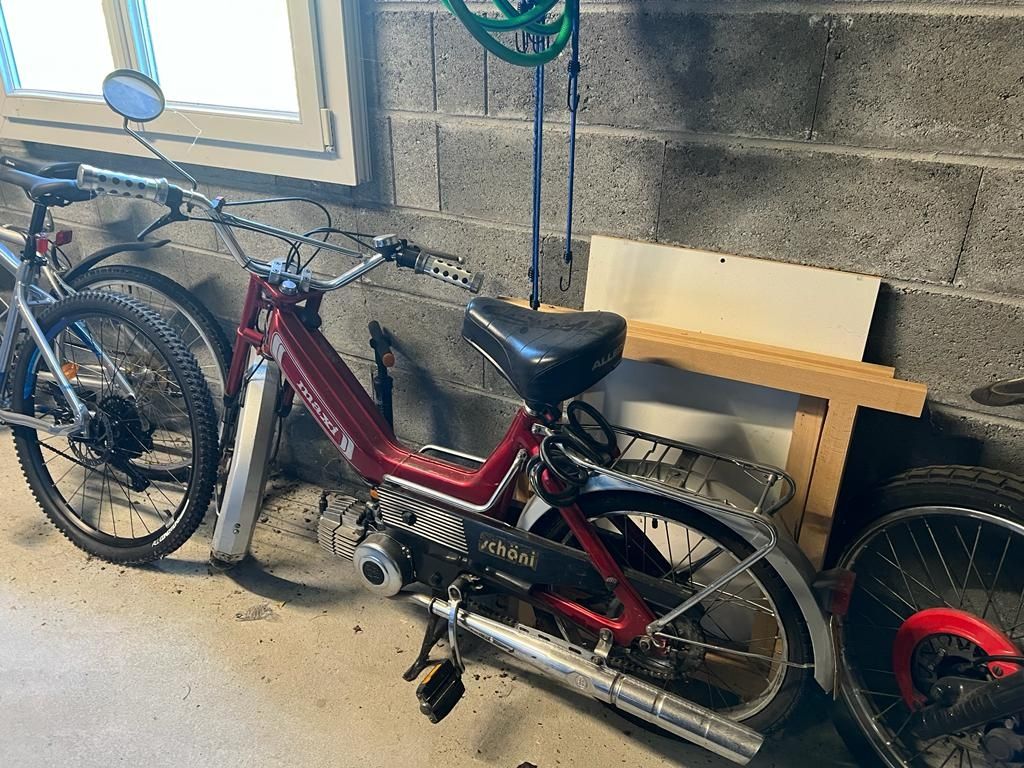 Strada: Velomoteur Puch Maxi – Usato da Domdidier venduto da wderossi