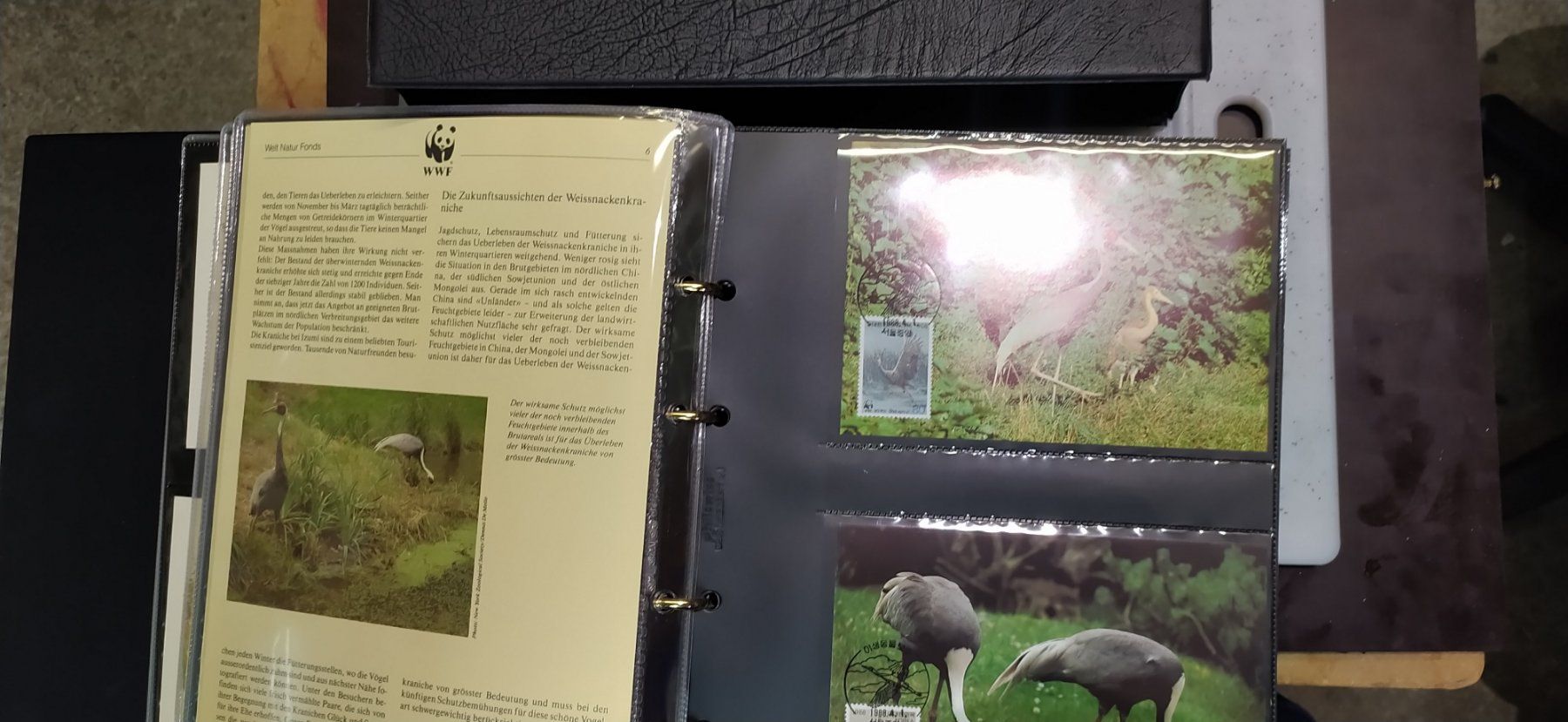 WWF Album: WWF  Album – Usato da Thun venduto da Rado-17 2