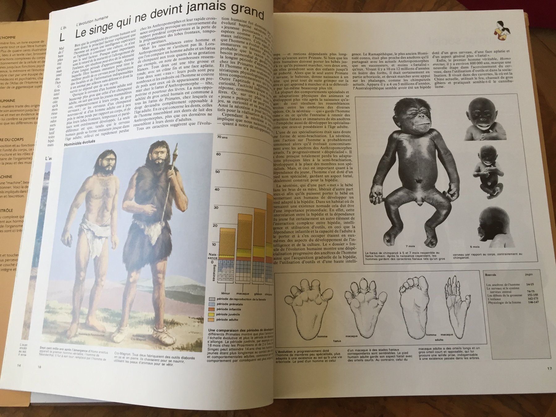 Libri: Atlas du corps humain  Edition 1991 – Usato da Genève venduto da Donnet2 4